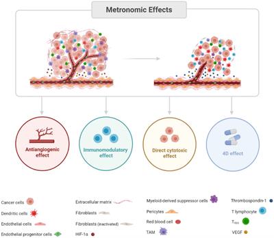 Metronomic chemotherapy: bridging theory to clinical application in canine and feline oncology